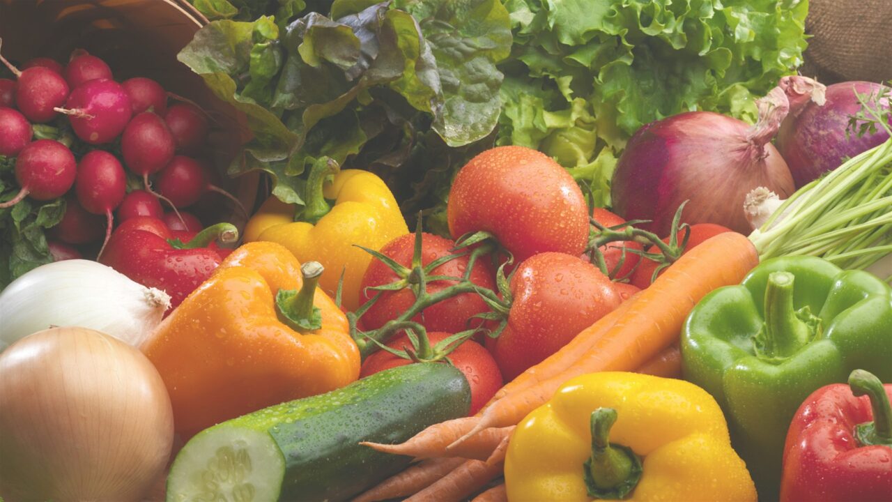 Plant City Produce Giveaway for Seniors MaxHealth